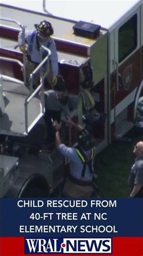 Child rescued from atop 40-foot tree at Cary elementary school