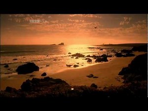 The Man Who Recorded America talks about "Love"....