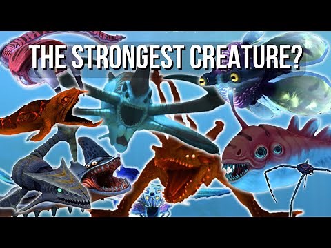 Subnautica Fighting Championship