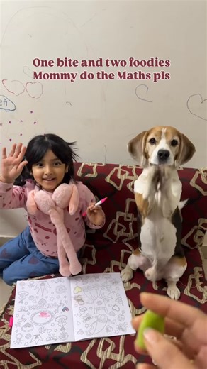 LUDO on Instagram: "Training mommy on problem solving skills 🥲😬 . . . . . . . . . . . #beagle #dogandbaby #siblings #brothersisterbond #cutereels #love #trending #fyp"
