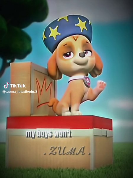 Who does Sweetie have? Her toy Frog?😭 #fyp #edits #pawpatrol #pawpatroledits #pawpatroleverest #rockypawpatrol #skyepawpatrol #marshallpawpatrol #zumapawpatrol #chasepawpatrol #rubblepawpatrol #ryderpawpatrol #sweetiepawpatrol