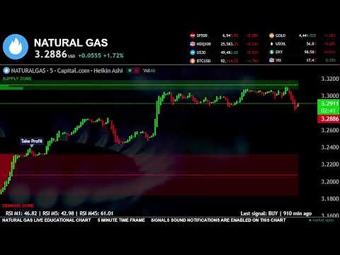 NATURAL GAS LIVE Trading Educational chart 24 /7 #XNG #NG