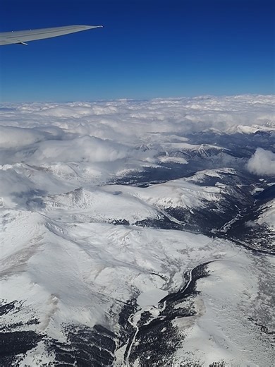 ockoo_microfarm (@ockoo_microfarm)’s videos with original sound - ockoo_microfarm