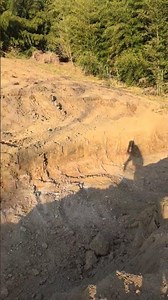 Rapid growth can be a huge poison. Let's take it one step at a time. #Divelon #Excavator #Beginne...