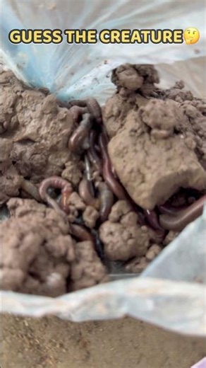 Fishing Hacks That Actually Work! 🎣 #shorts #vlog #ytshorts