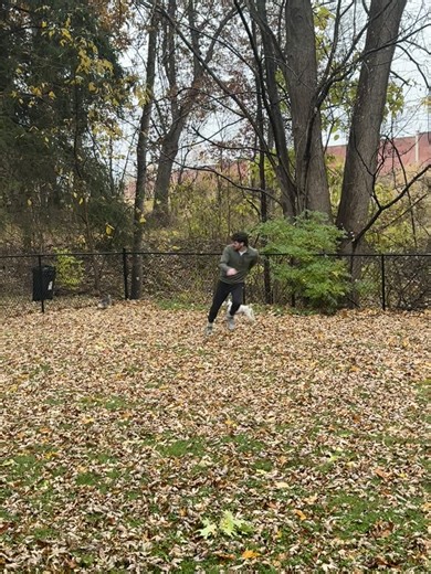 Jax, Clover & Cam running in the rain. #dogs #rain #fiance