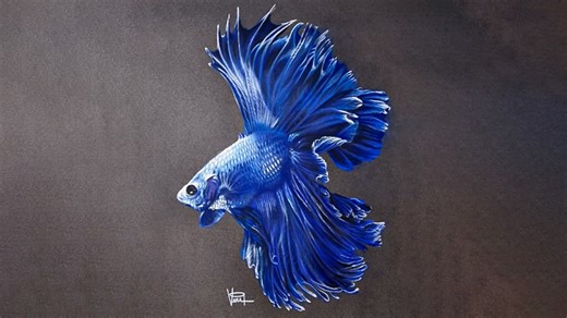 Mesmerizing blue betta fish art with vibrant colors and life-like details