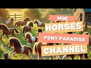 🌿 Tiny Hooves, Big Hearts: Adorable Mini Horses in Action! 🐴