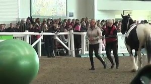 Linda Parelli this morning at Aintree helping us understand how to ride a Left Brain Extrovert. | Parelli Natural Horsemanship