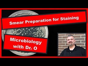 Bacterial Smear Preparation for Staining: Microbiology