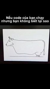 3.6M views · 30K reactions | Nguyên tắc số 1 của Coder | CodeLearn.io | Facebook