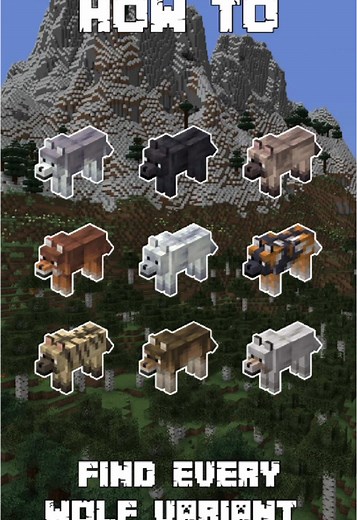 How to Find Every Wolf Variant in Minecraft! Did you know there are 9 different wolf variants in Minecraft? Find out where each one spawns and what makes them special! Watch to see all the unique wolves you can discover in the game. #Minecraft #MinecraftTutorial #MinecraftTips #gaming #fyp