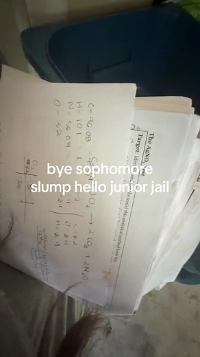 Bye Sophomore Slump Hello Junior Jail — Trend Explained