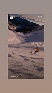 Snowbird on Reels | Facebook