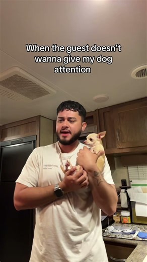 She tried 😭 #trashygas #gio #chihuahua #emmy #lol #dog #dogs #pet #pets #dogshorts #animals