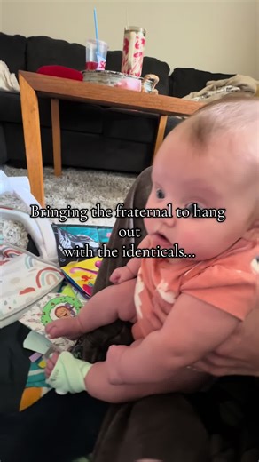 Identical Twins and Their Fraternal Sibling: A Fun Story