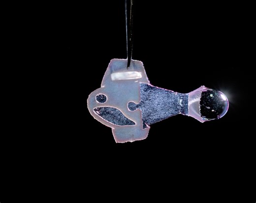 Autonomous biohybrid fish made from human stem cells, see it swim here