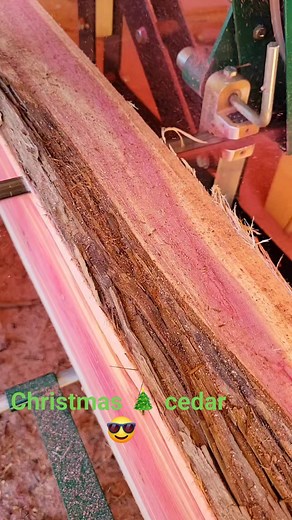 397K views · 3.2K reactions | Best smelling lumber on earth  milling eastern red cedar on the hm122 #hm122woodlandmills #majorpixsaws #satisfyingvideos #woodworking #dyi #forestry #cabinlife #thankful #epoxy | Jon Pix | Facebook