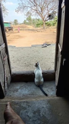 😱 OMG😱. #trendingshorts#loveloading #motivation#sadshayari#quotes#lifechangingthoughts#linespoetry