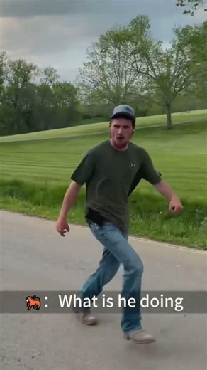 Horse.exe has stopped working. 🐴🚫#shorts #funny #horse #funnyanimals #2026