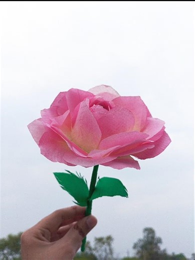 How To Make Lotus | DIY Flowers | Paper Flowers #craft #papercraft #diy #shortvideo