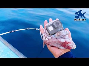 What Happens When You Drop a Supermarket Squid Into the Japanese Sea with a Camera? #1