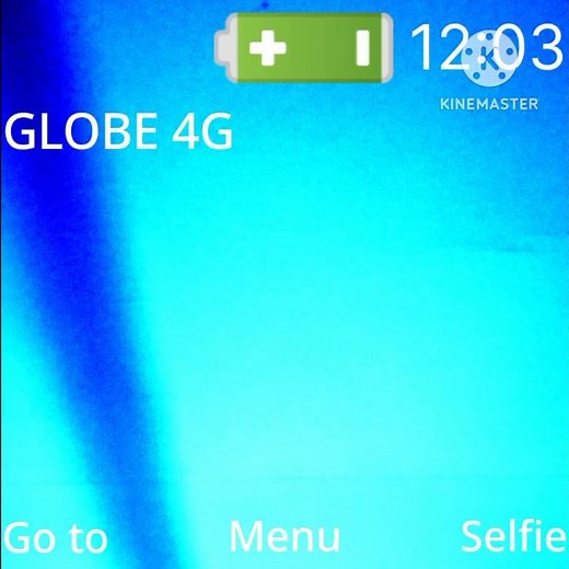 Nokia 222 Dual SIM Startup and shutdown