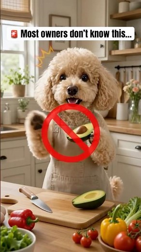 🐶Most owners don’t this… 🥑Avocado isn't as safe as you think!