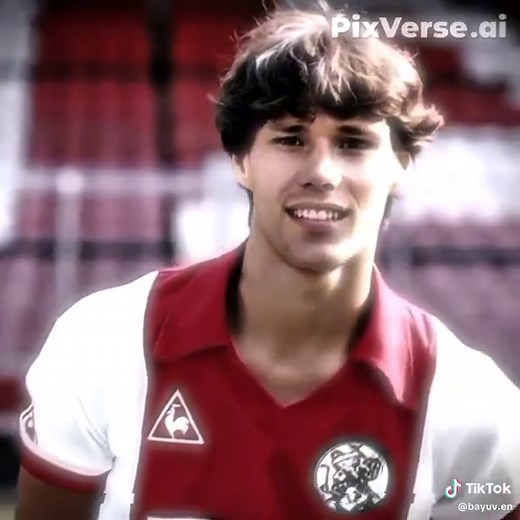 Van Basten Skills Compilation - Football Edits