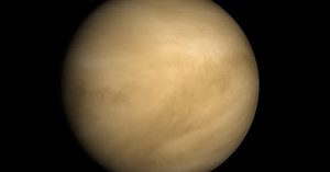 Where can I find planet Venus?