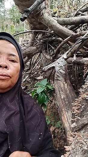 tutorial ambil cendawan kuku gess #fyp #fb #viral #sorotan #jangkauanluas #holidayevent | Nurbibah Ibah