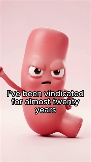 The Appendix Has Something To Say 😤