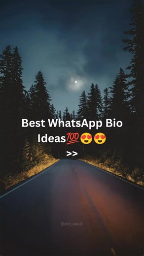 Creative WhatsApp Bio Ideas for a Perfect Expression