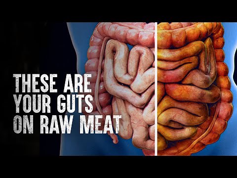 How to Survive Eating Raw Meat