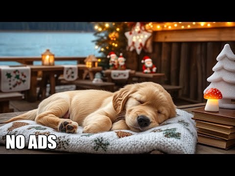 12 Hours Of Dog Sleep & Relaxation Music 🐶🎵 Calming Melodies for Anxious Dogs 🐶🎵 Soothing Sounds