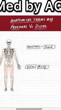 Proximal vs distal anatomical terms part 3 #anatomy #medicosstuff #doctor