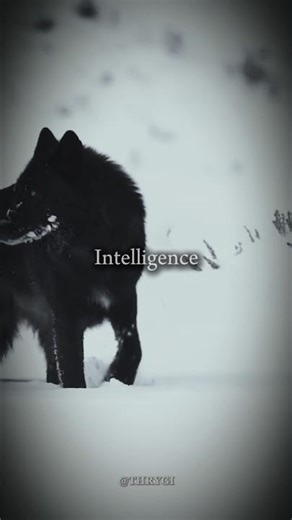 HIGH IQ Signs Most People Miss #shorts