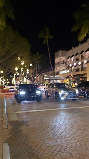 DOWNTOWN NAPLES FLORIDA