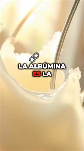 🎥 ¿Sabías todo lo que puede hacer la albúmina? 💪🥚 En este video te cuento las principales propiedades de la albúmina, una proteína esencial presente en el huevo, la sangre y muchos alimentos. 🍳✨ 📌 Propiedades destacadas: ✅ Alta capacidad de retener agua 💧 ✅ Forma espuma fácilmente 🫧 ✅ Se coagula con el calor 🔥 ✅ Ayuda a transportar nutrientes y mantener el equilibrio del cuerpo ⚖️ Perfecta para entender por qué es tan importante en la cocina, la biología y la salud. 🍽️🧬 #Albúmina #Prot