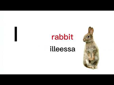 Learn Afan Oromo Alphabet | A-Z with their examples| Qubeelee Afaan oromoo barachuu fakkeenya waliin