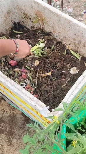 Easy way to make kitchen compost #minivlog #viralvideo #gardening #youtubeshorts
