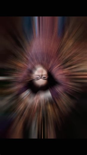 ✨ Abby | Class of 2026 ✨ 📍 Kingman High School Fall sessions golden leaves = pure magic 🍂 Abby absolutely rocked her senior session — effortless smile, natural beauty, and so much personality shining through. #Abby2026 #KingmanHighSchool #ClassOf2026 #YorkPhotography #SeniorStyle KansasSeniors FallSeniorSession SeniorVideo SmallTownSeniors | York Photography