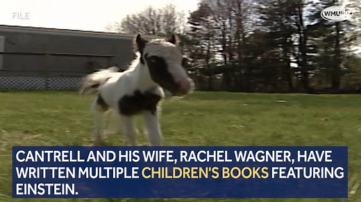 🐴 Einstein, who set the world record for smallest horse in 2010, turns 12 on April 22. Happy birthday, Einstein! https://bit.ly/3xSq3k6 | WMUR-TV