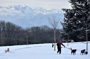 Here's How Much Snow Sammamish, Issaquah Got This Week