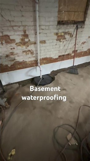 This Basement Was FLOODING… Here’s How We Fixed It! #detroit #landbank