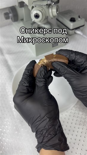 Examining Snickers Under a Microscope