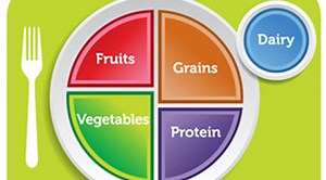 Food pyramid out, 'My Plate' in for healthy eating