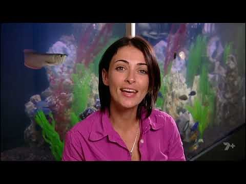 Harry's Practice EP1 Channel 7