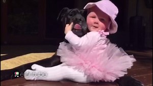 87K views · 1.8K reactions | If this video doesn’t make your Monday better, you might be a robot. | Daily Smile | Facebook