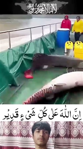 Trending short status allhamdullilah status #allhamdulillah #status #viralvideo #trendingshort